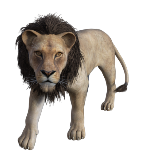 Big Cats 2 token art by Emily Smirle