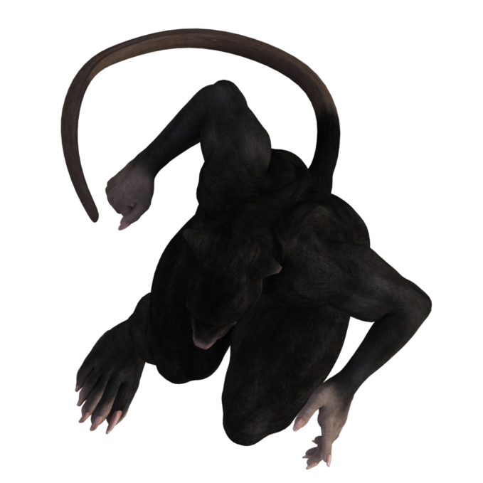 Ratmen Pack 1 token art by Emily Smirle